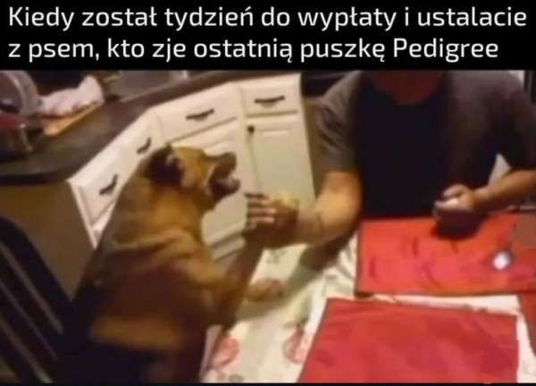 6b7cb4ae-c4a6-411e-bc7a-c9b0d67845e2