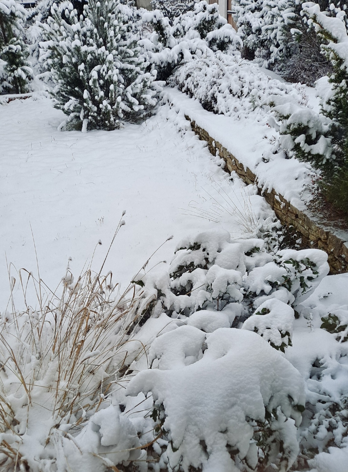 82cee382-d6cd-4477-8d81-f893fcfa19d0