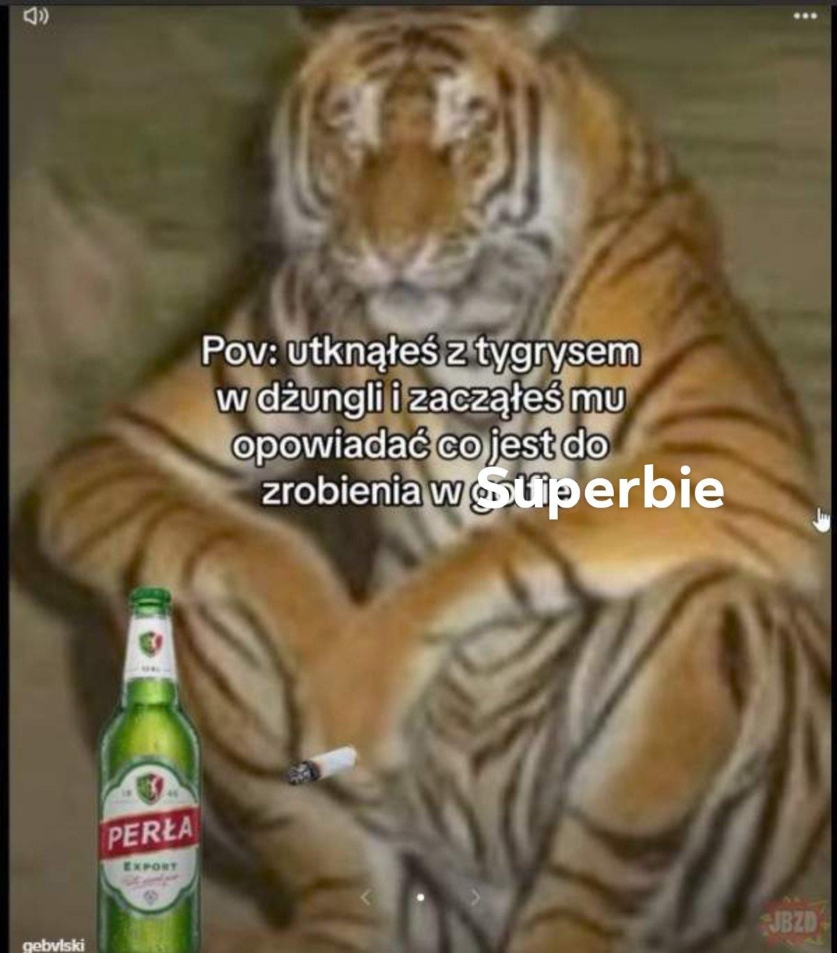 965ae388-c70c-4a24-ac29-d2a721c92219