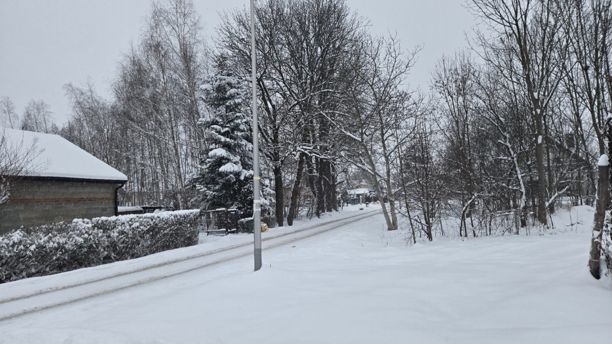 6afdb82c-7444-4548-ba65-3709d9799a11