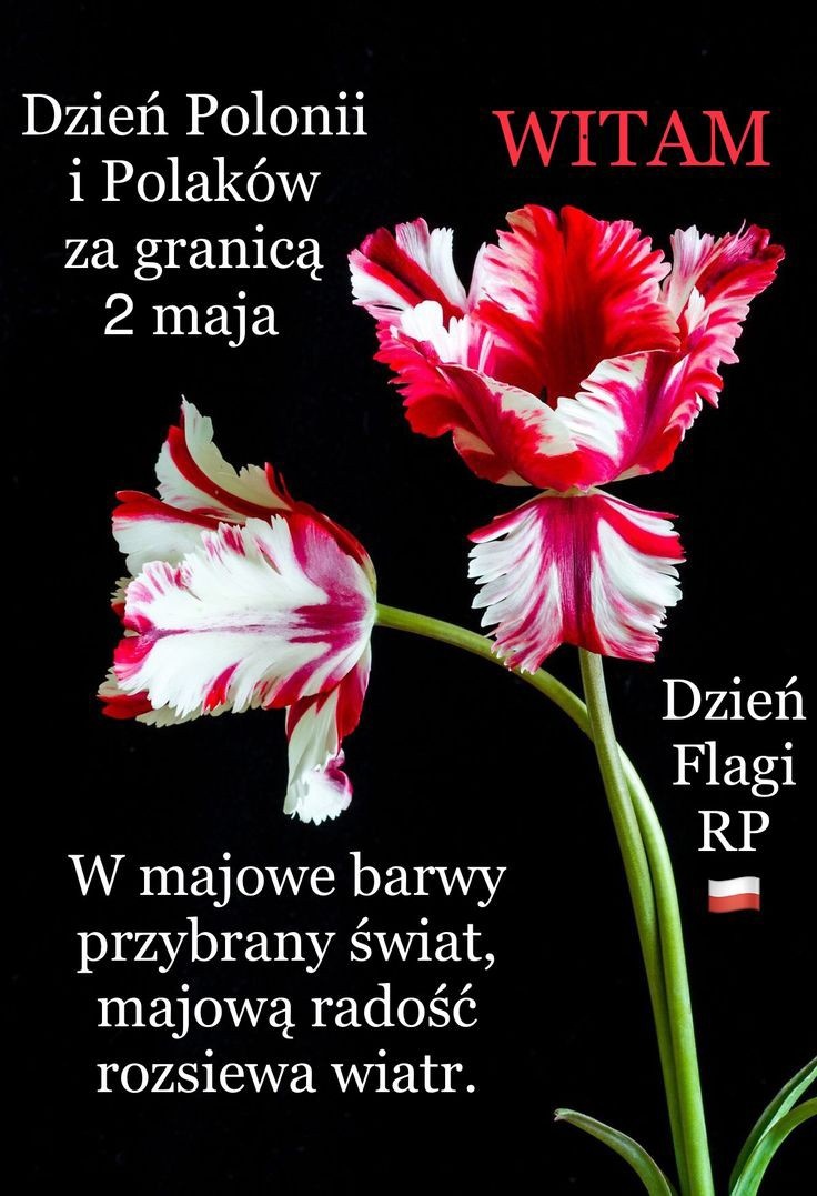 3e0c3566-4171-4c94-8700-486d9c3b96f5