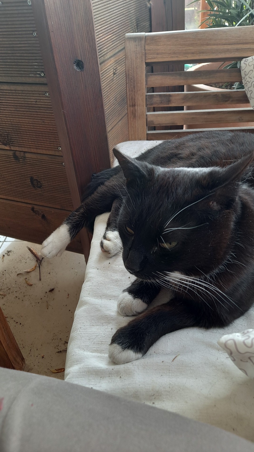 f96eeac8-1e53-418c-883e-c70e9620307d