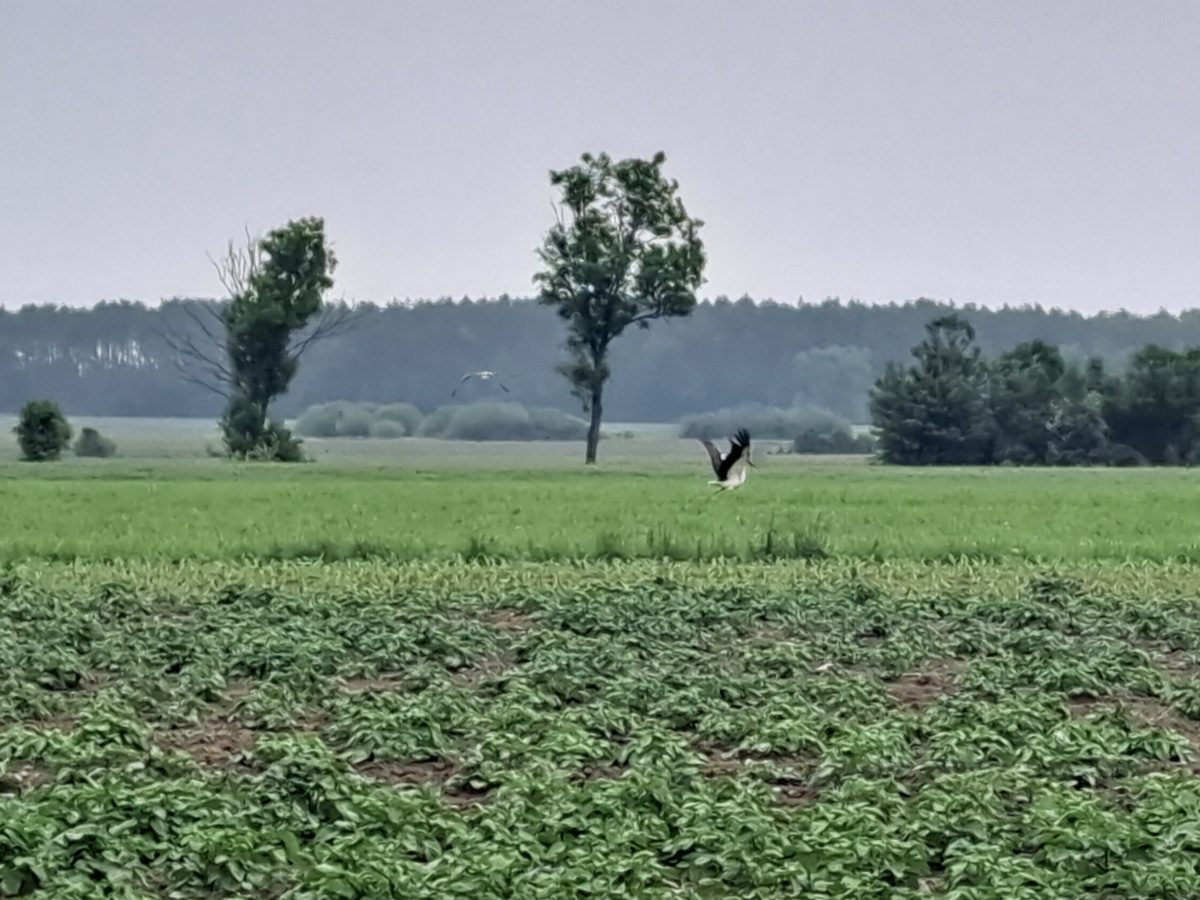 89db672e-3796-40d0-8509-dc00f9df29ff