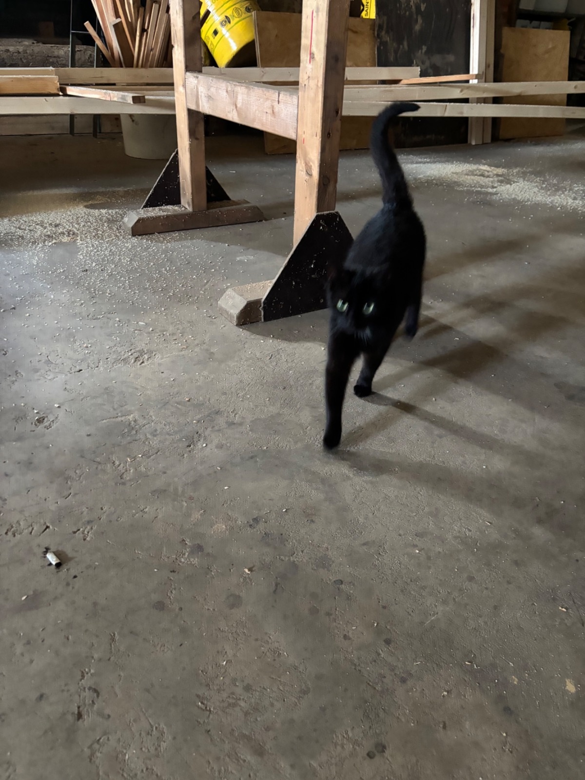 cd1ad22a-4241-4809-8a22-21aa64e035cc