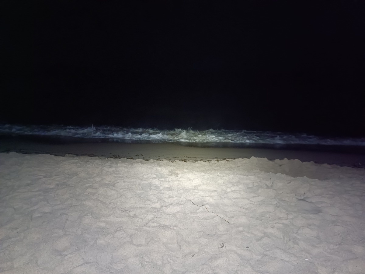 335d3a6a-12bc-4aec-9dce-72398ea3e22a