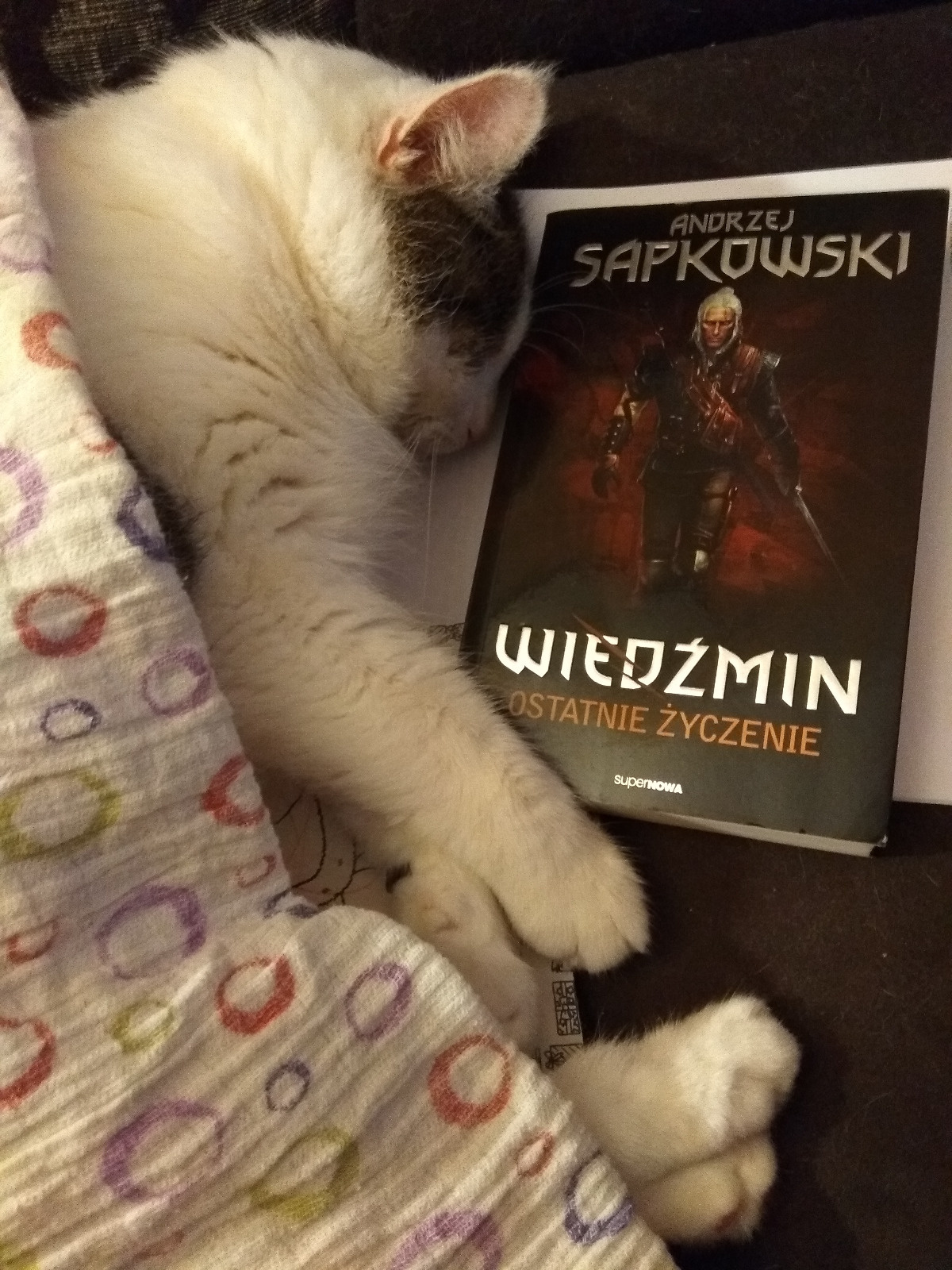 d3e99812-42f1-45a7-951c-811f125bf128