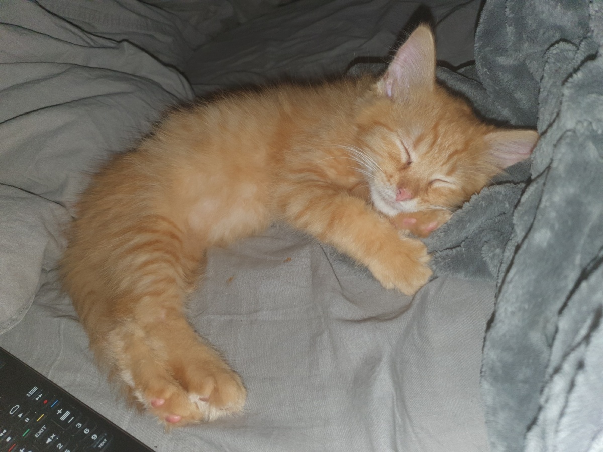 3413bf70-a6c6-43c8-a973-b7cfb9d68bcc