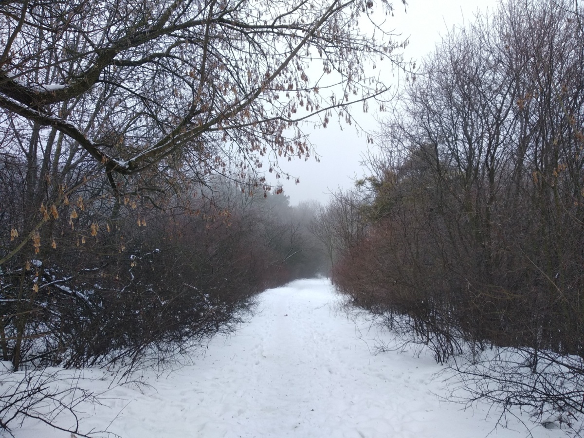 bba43f3d-d64f-4eab-beab-3b60a274ed10