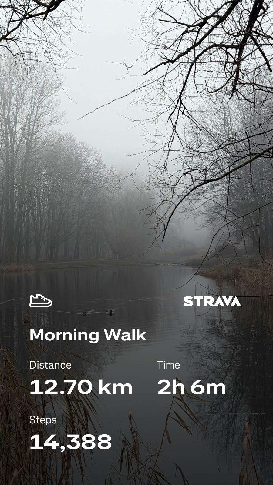 13a5a24f-2309-4704-8375-5ea2075b750f