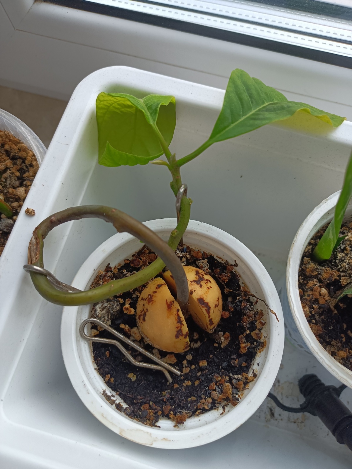 4304ac7e-67f7-4d8a-ab72-3625e2a8c1e2