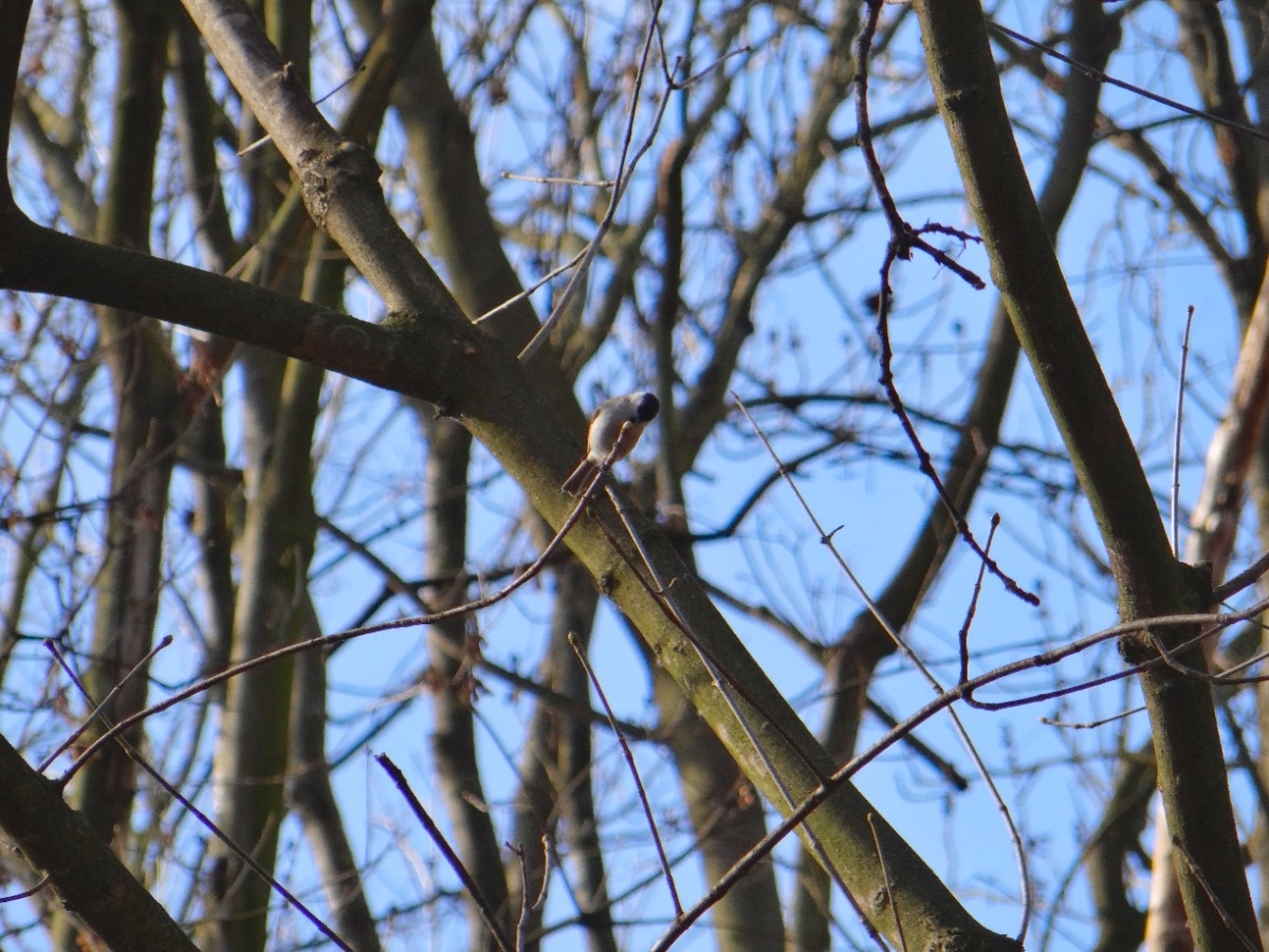 26beb4df-22ce-47b2-9850-ccf4f168c4bd