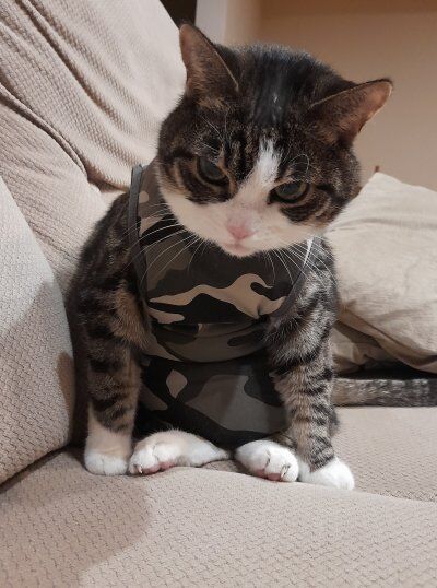 6ef78813-813b-4fea-a196-d0d372421ed3