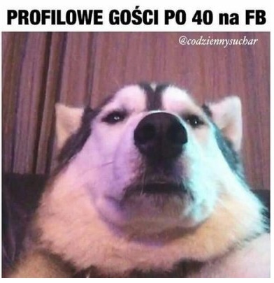 dfe8b377-163f-4745-966d-58a1420384a8