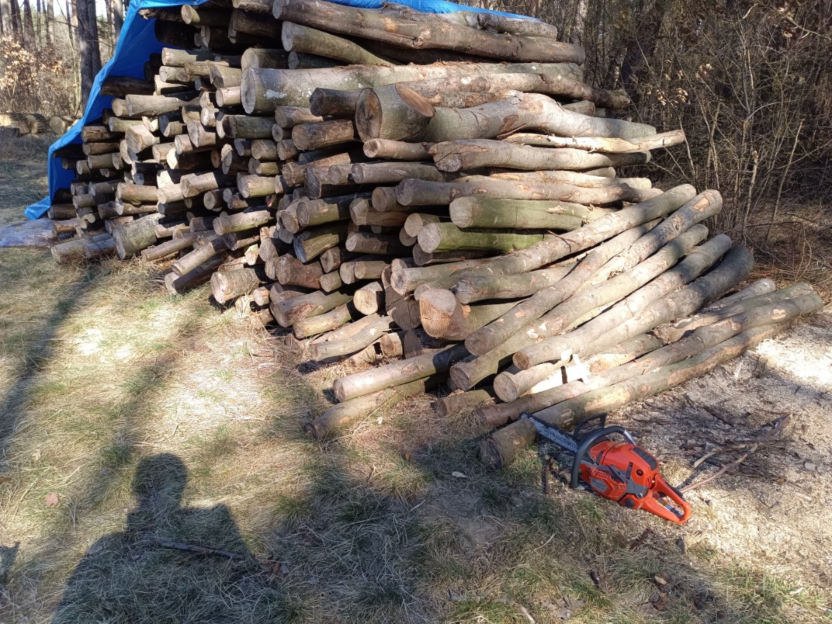 6bff71d1-0a84-49c1-93e3-a88fc6a08558