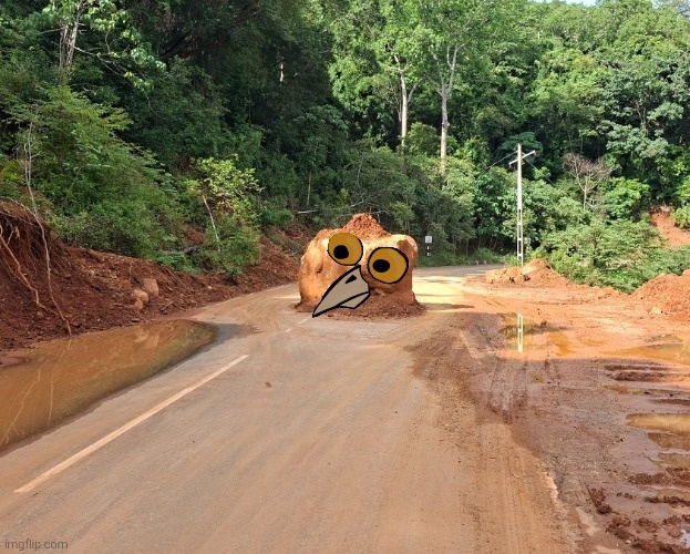 576ab4ff-0e71-4151-b7c5-ccec1ae3870c