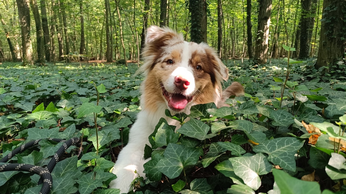 7e31d0c5-1f58-4baa-98ee-4cc2a7c61482