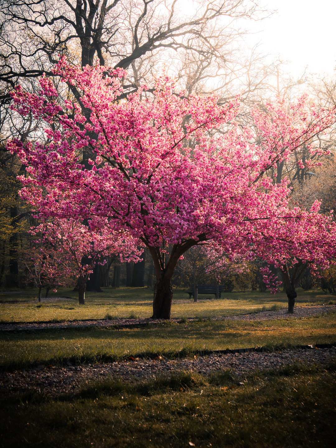 6f7872f4-3f44-46c8-aa71-e599cd41bb78