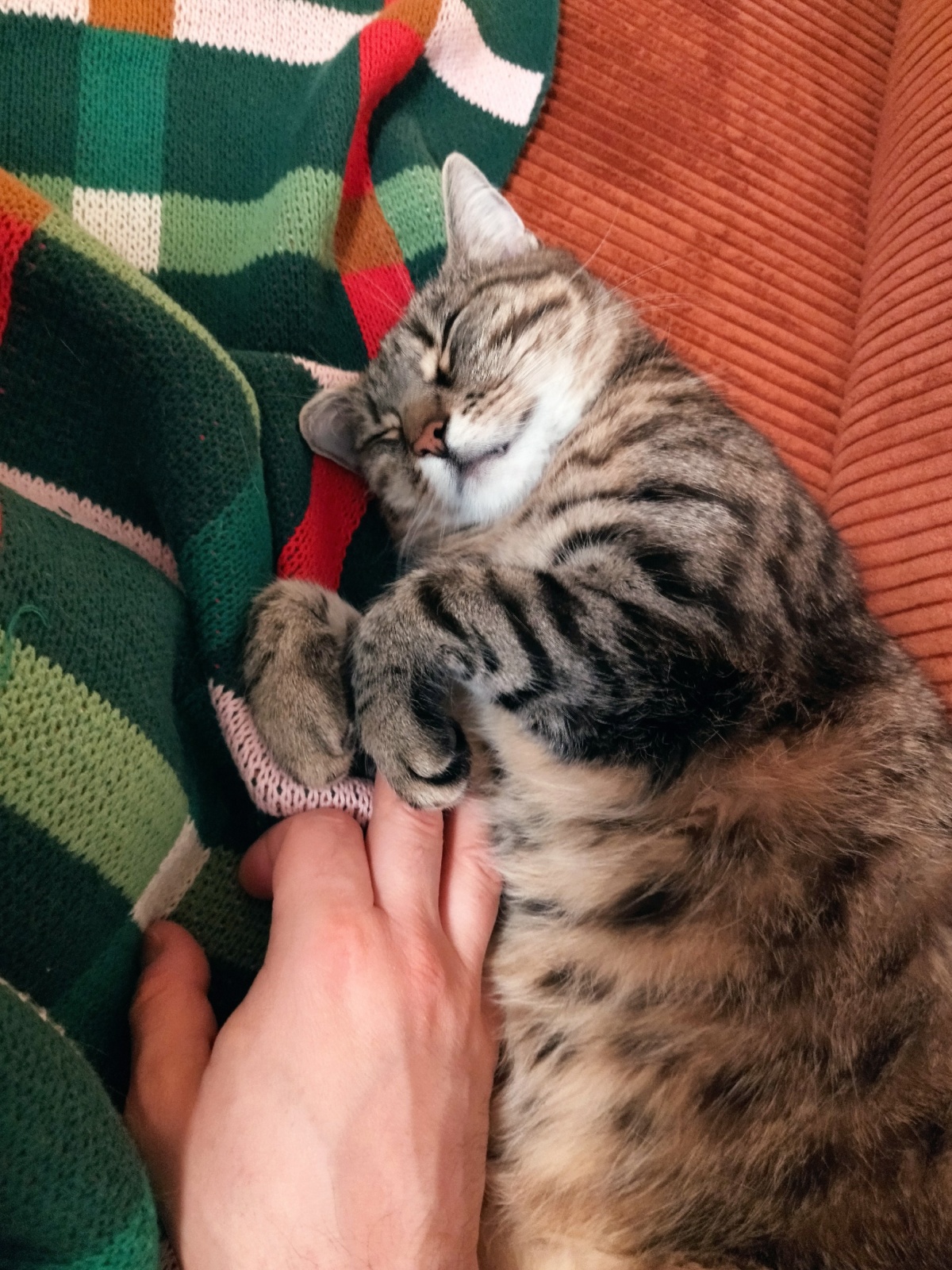 092613ad-a96e-4926-b62b-183e3c4c7ee7