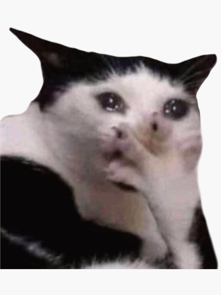 c06092ff-0706-4923-b540-d0d53e07aa02