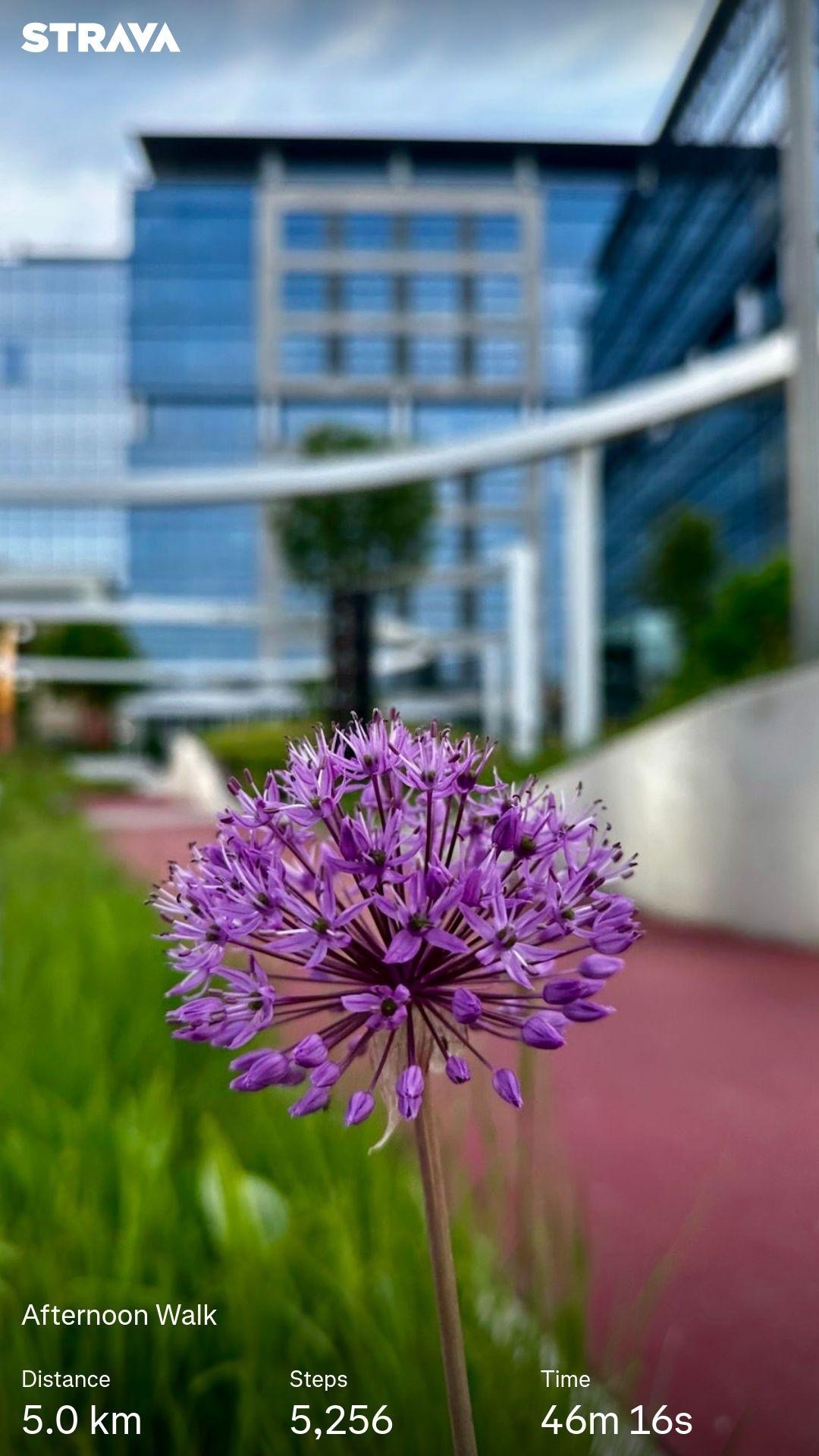 16bcb7ee-a11a-48a1-806d-8101e3baaf45