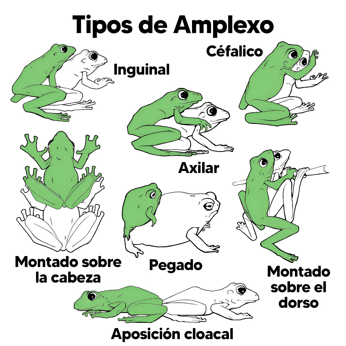 88b2190c-ddf0-457d-9b17-eaccaac0cc20