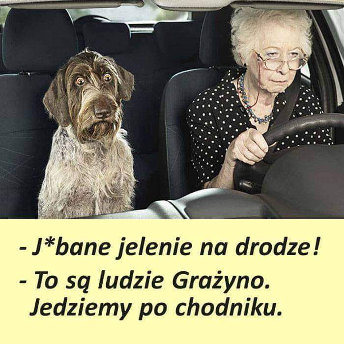 7da33a23-5883-4915-8bbd-451a000f29a1