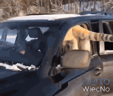 ed3bdbfd-4f5e-44c4-bc04-6e9c3d3d4edb