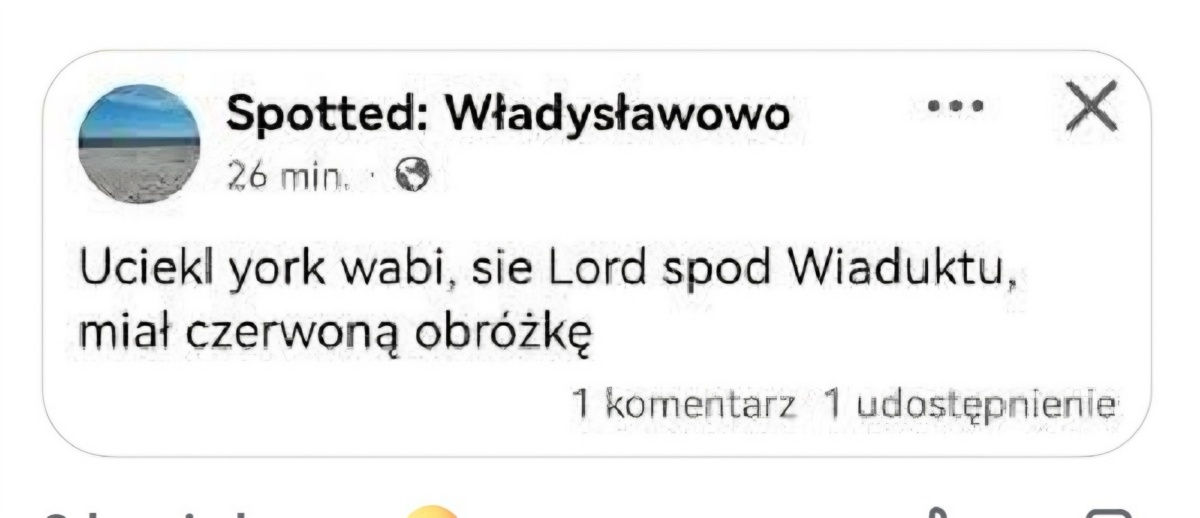 2843de99-34e0-487d-8674-b24401bf3ba6