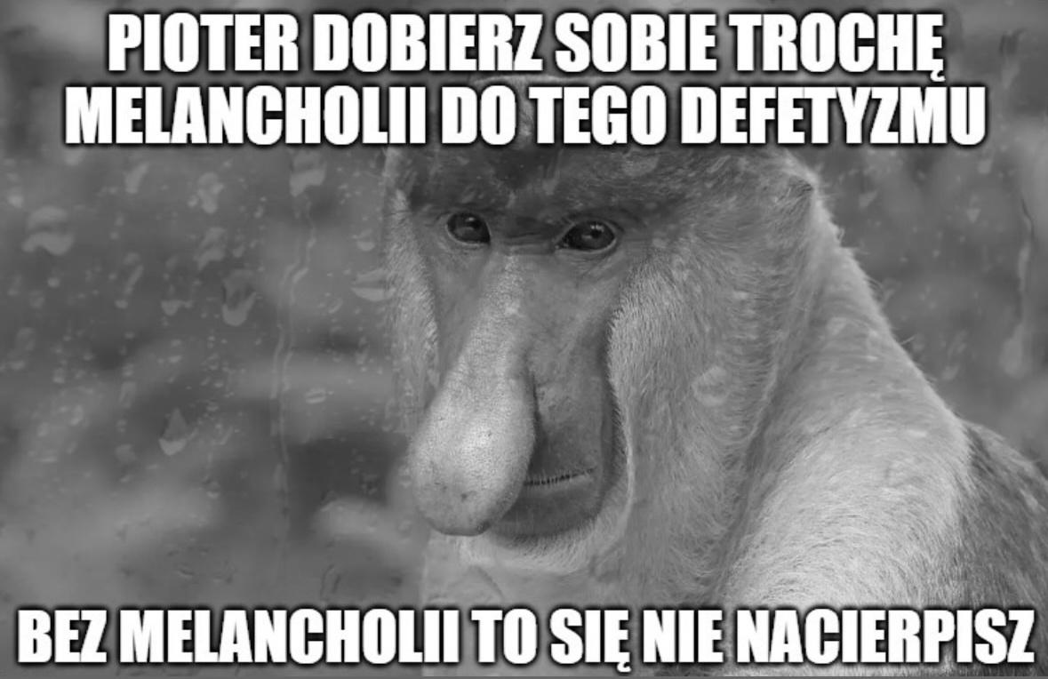 8885ebbd-6e69-4c96-809d-65243f5405f0