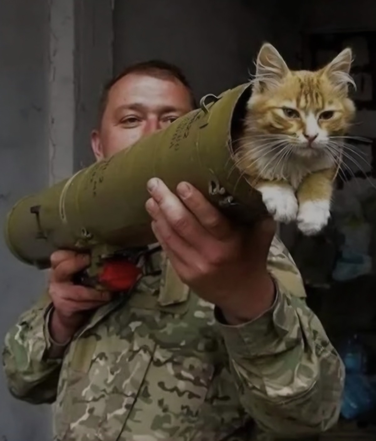 4c473d2e-5816-441c-821f-419acf79ab24