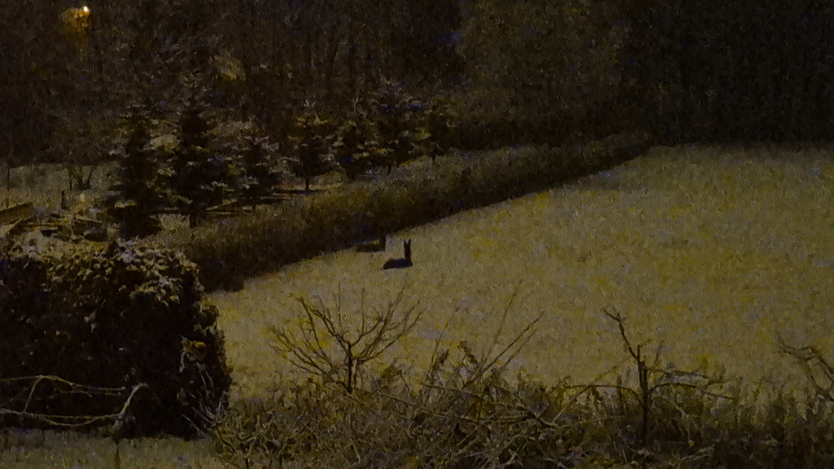 7f3a1402-04e8-4c90-b772-87cc45e54466