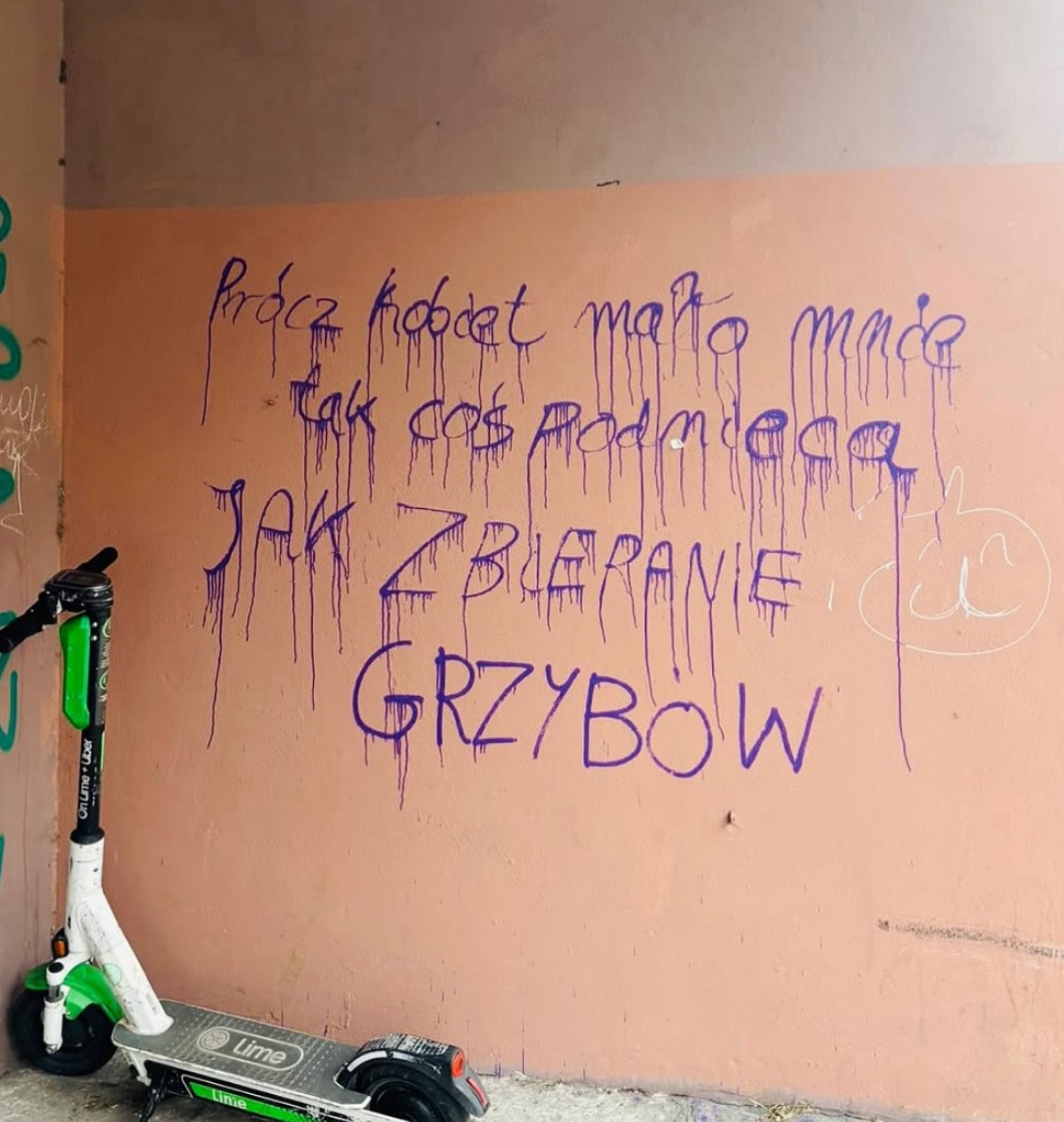 b2a12813-1473-49a5-9c46-f14118a48c3e