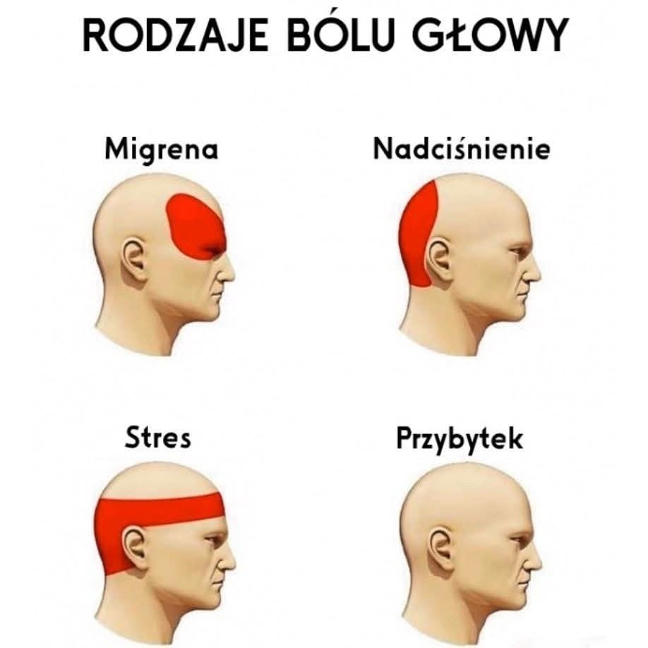 ac223e65-a6e4-4319-81a5-1668a41d3a1f