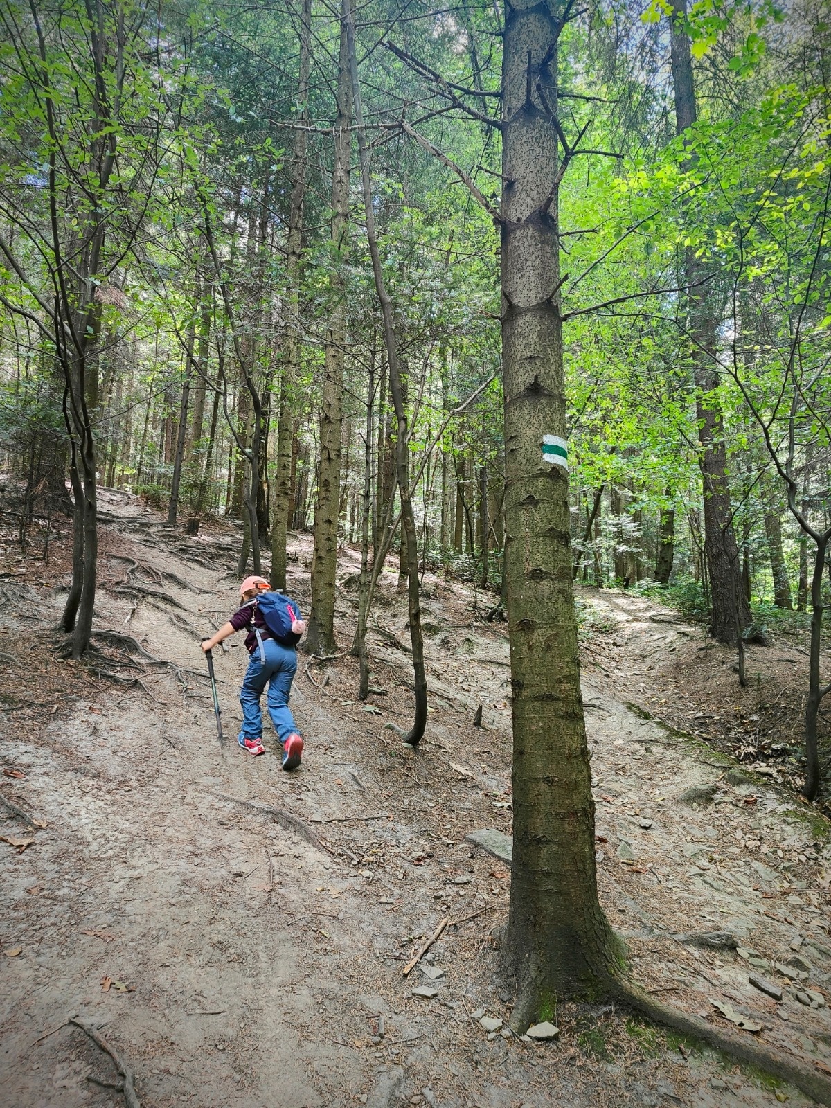 92360c09-1fc2-493e-96c5-ea0488207700