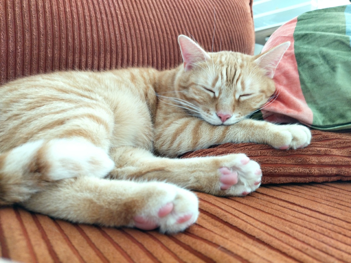 7d6b0c8b-9e44-4b7b-9b92-e124d4bdf038