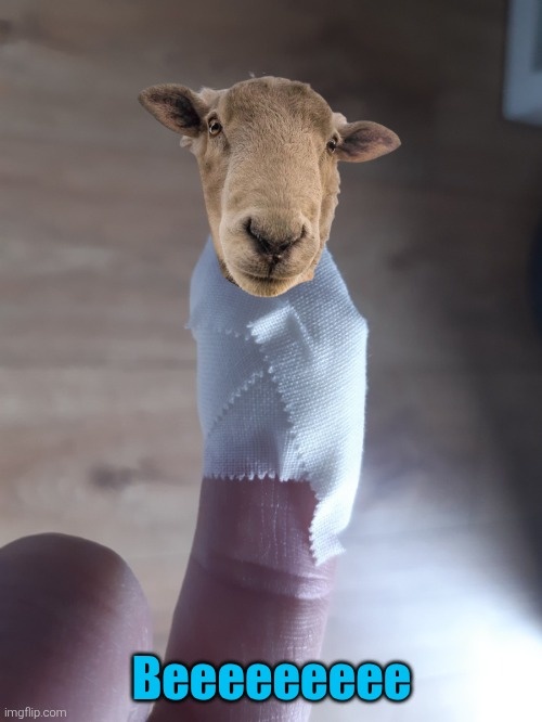 bedf0664-36ae-4237-9f10-fcddee99105e