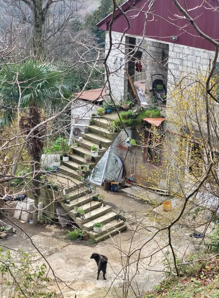 3d0ce706-85da-4d64-9ed9-a7e9841a8351