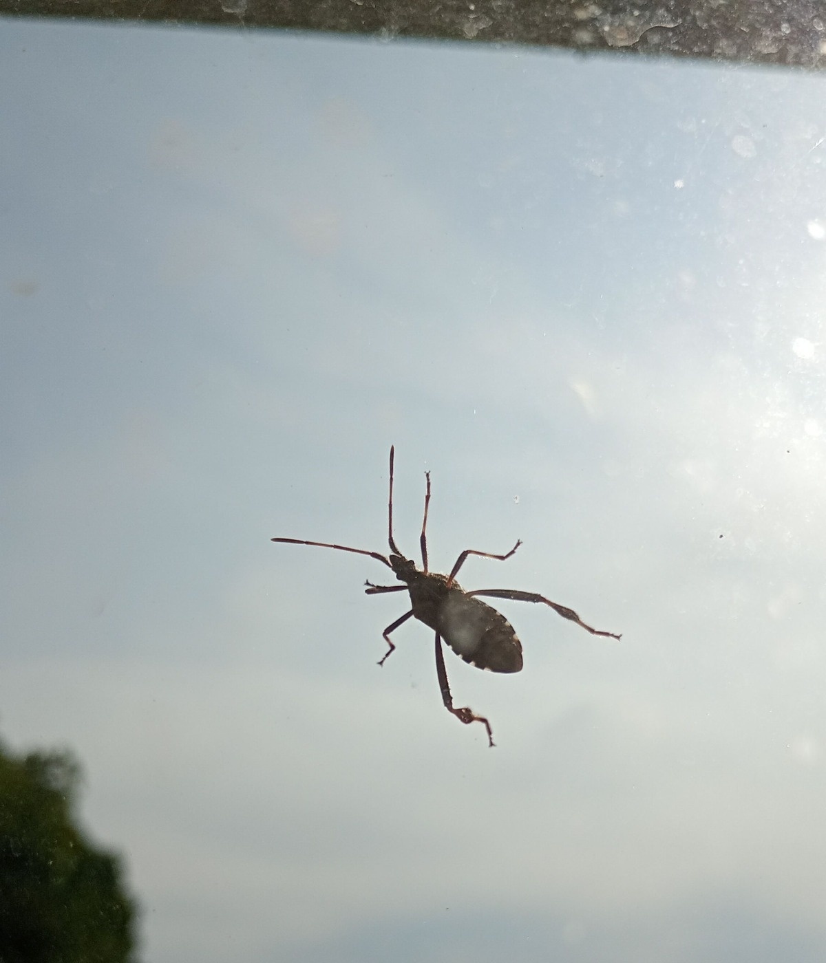 942f7ba5-a216-462b-8c82-e0ccb44013a1