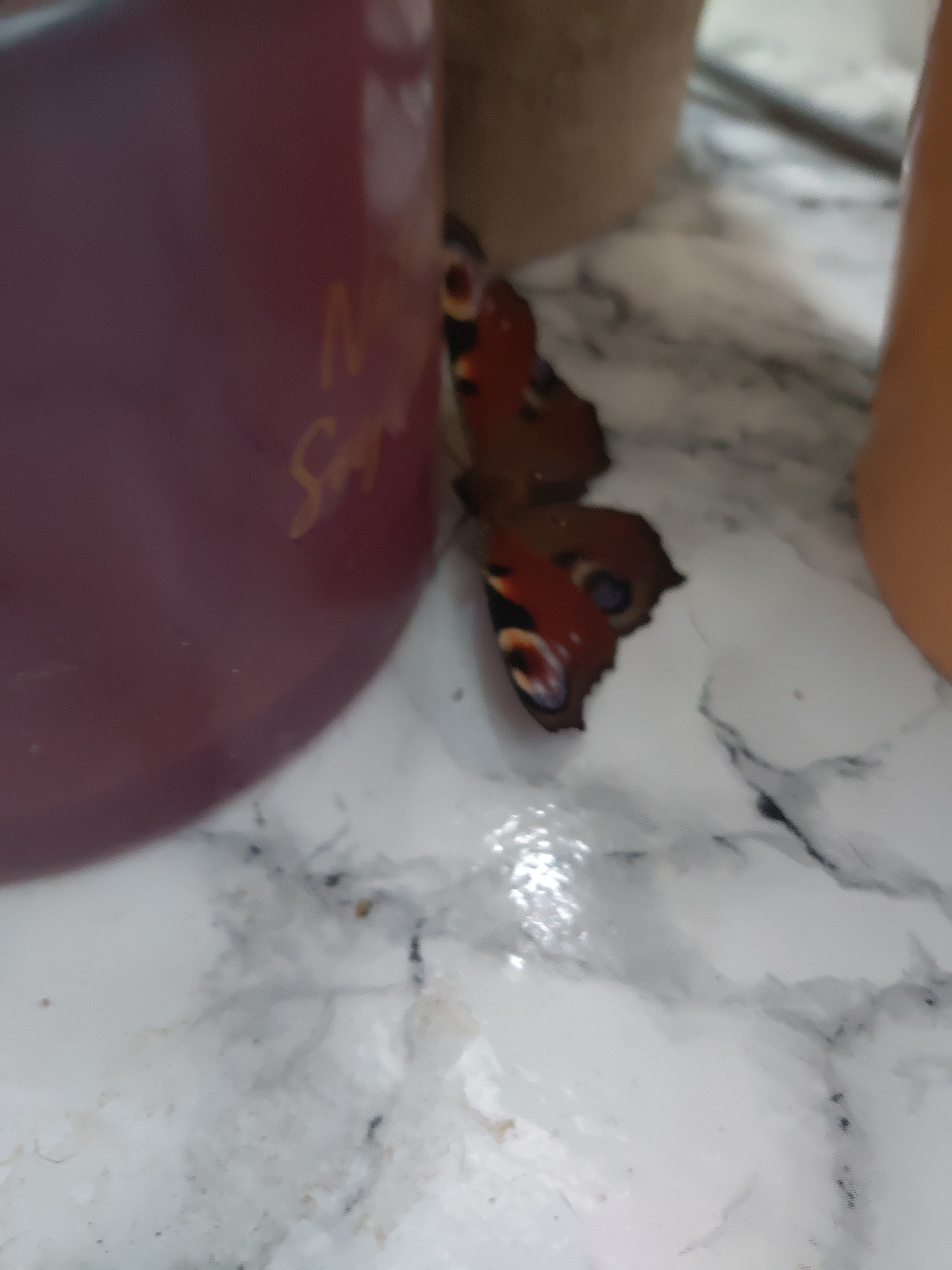 248543d0-ca40-45d8-bf5a-9ead425cb57f