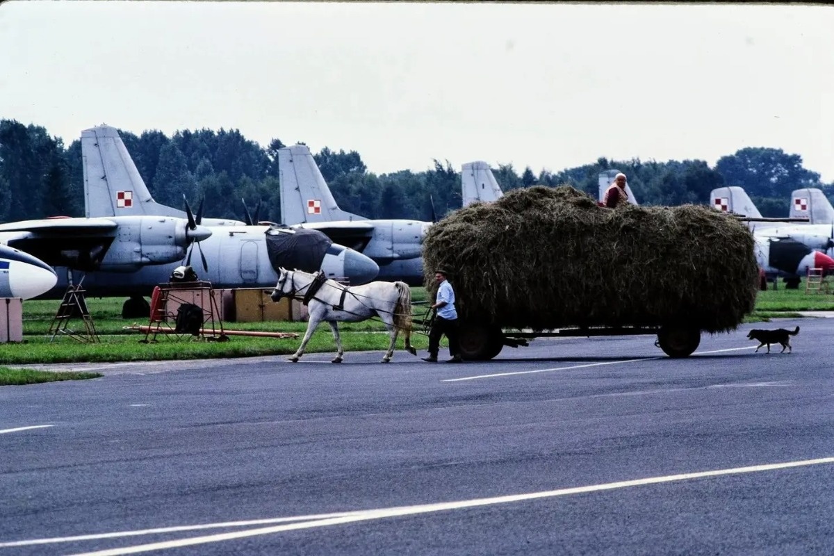 22ee5cd1-c514-43bd-ab50-842ef5f62b89