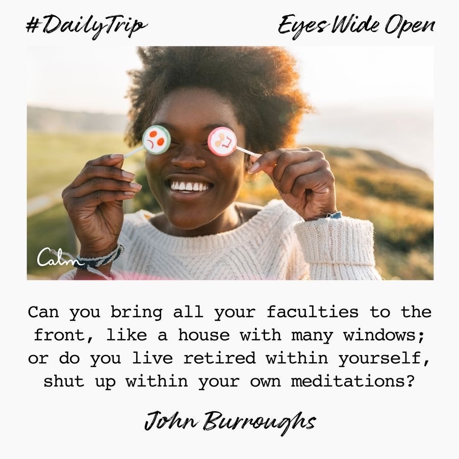 9f46b54e-f357-4611-a06f-961555303339