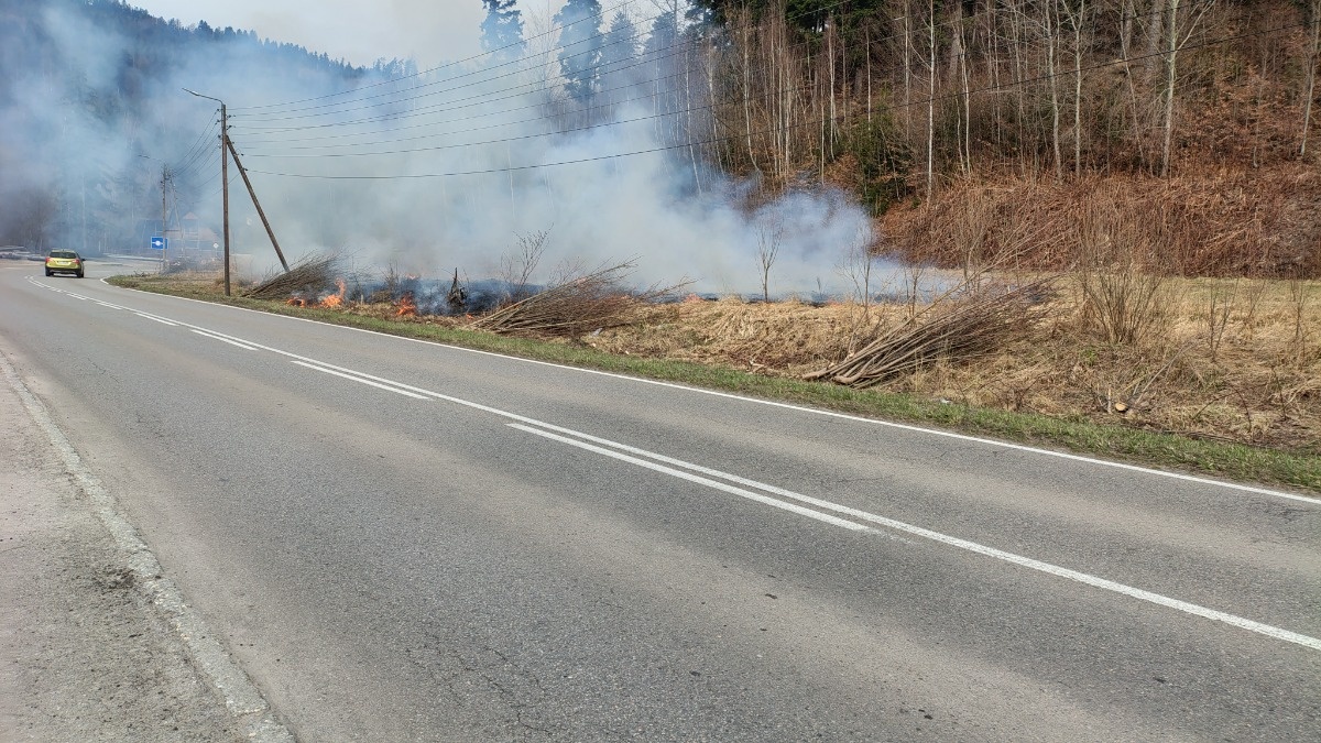 58414f50-e0c3-4e81-9c4c-ceda3bc93668