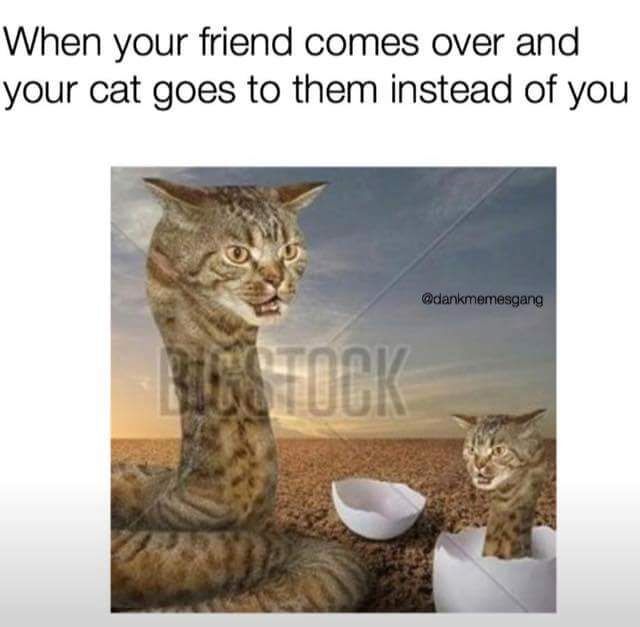 c0a45850-a7e3-45db-956d-8d066aabf41c