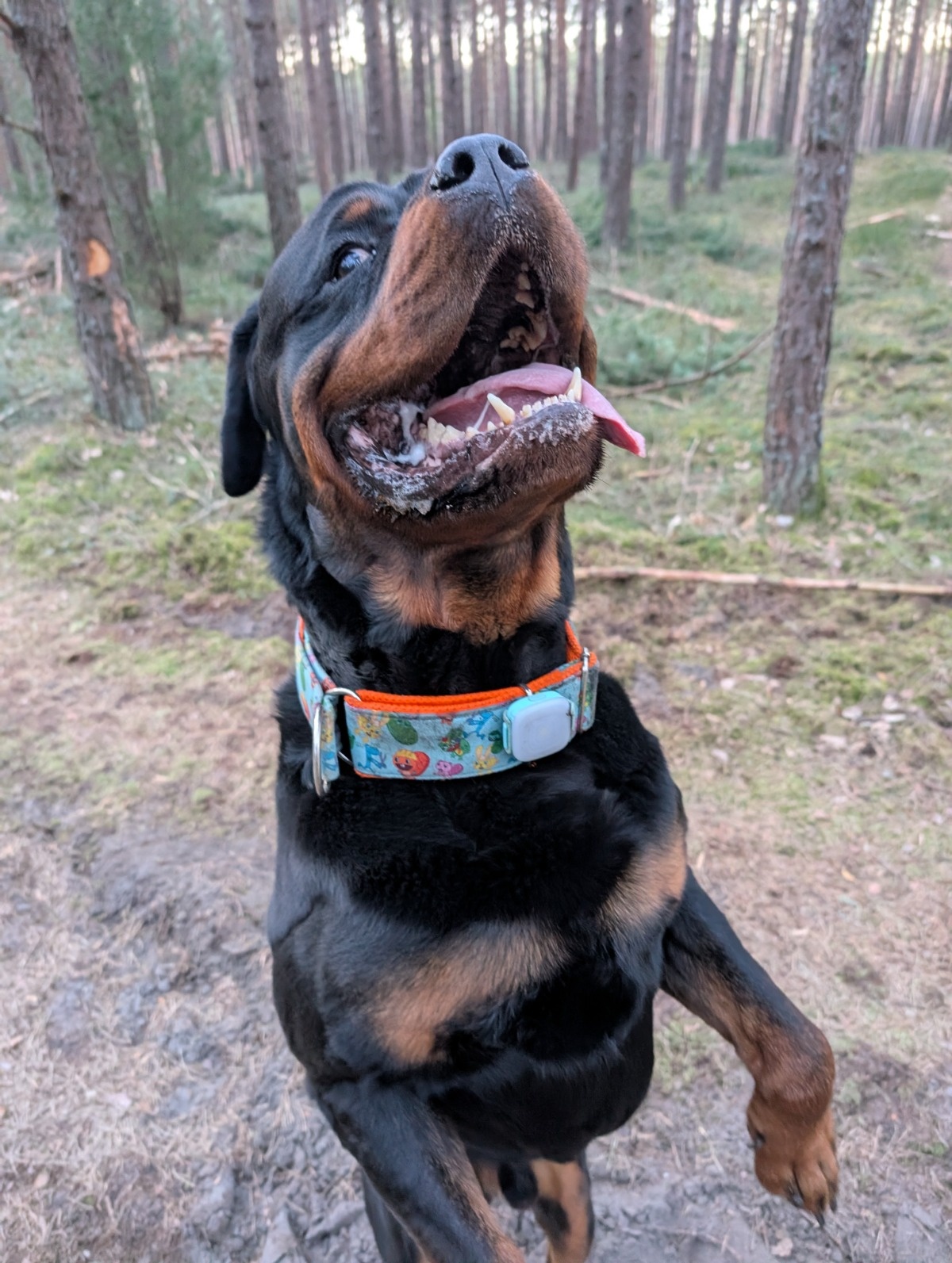 5144c2cb-ff8c-42eb-9b98-49630a06550e