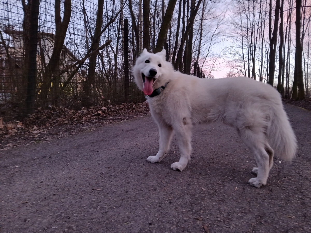 cfcdf485-f084-444f-8ae7-7739a9f39448