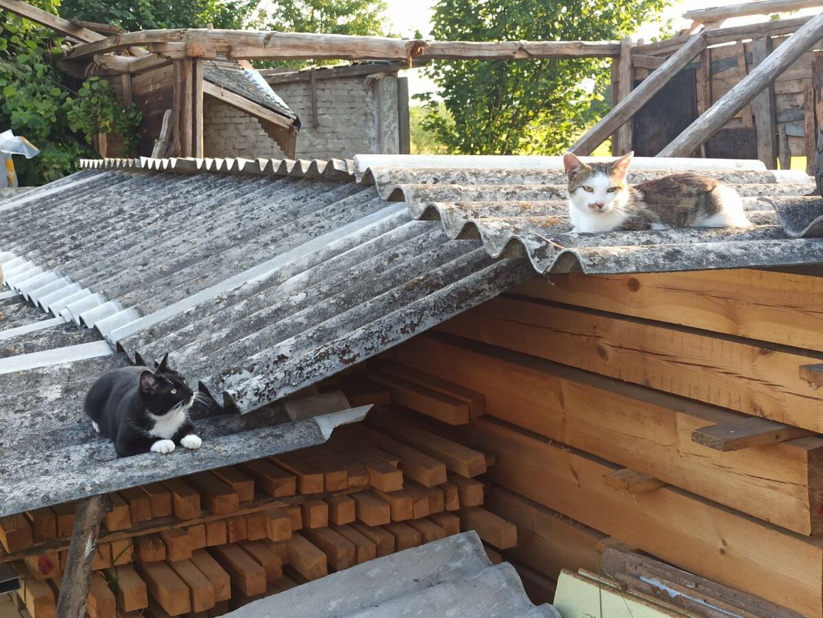 2d763b85-86cb-4b29-b91b-81c42b3d2c3b