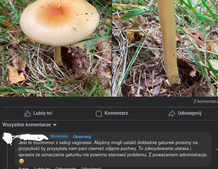 6f2ca93c-01cf-4ed0-8a0b-6abef2e6646f