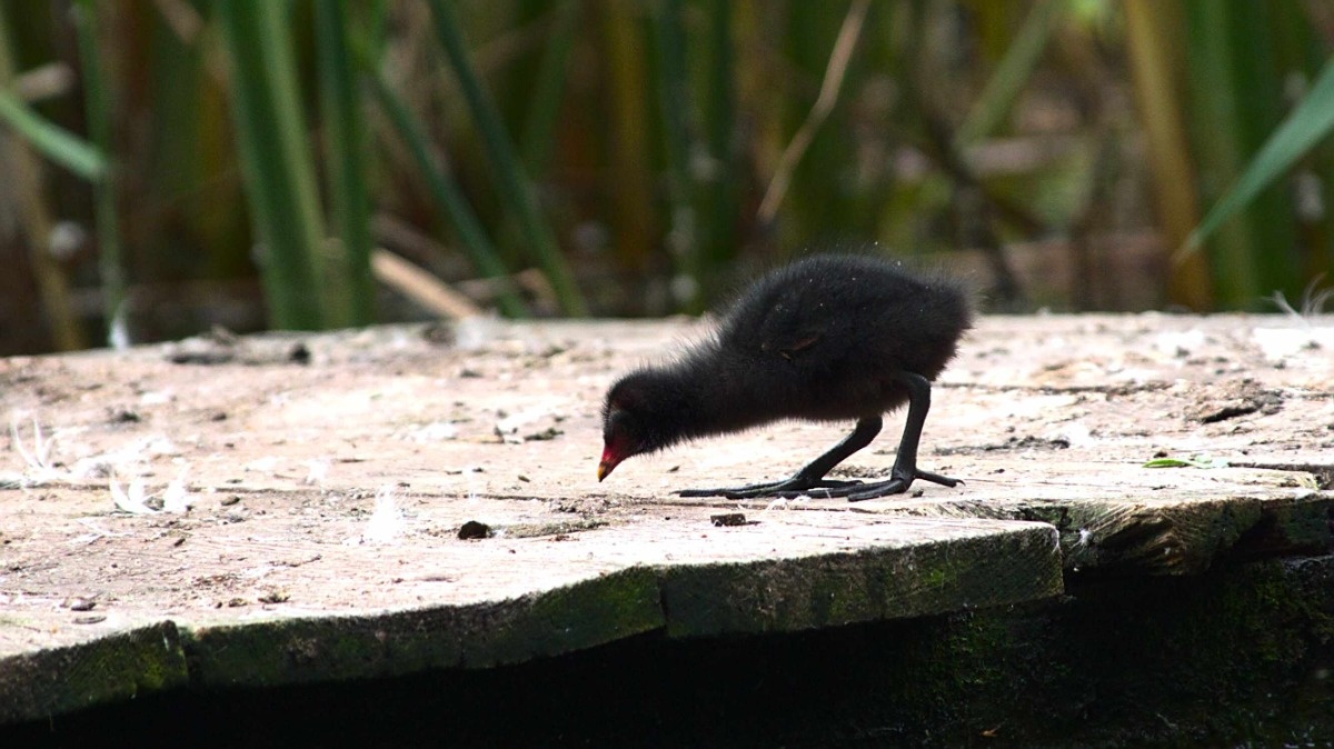 6900d032-49d3-4567-a89f-0776a8298a24