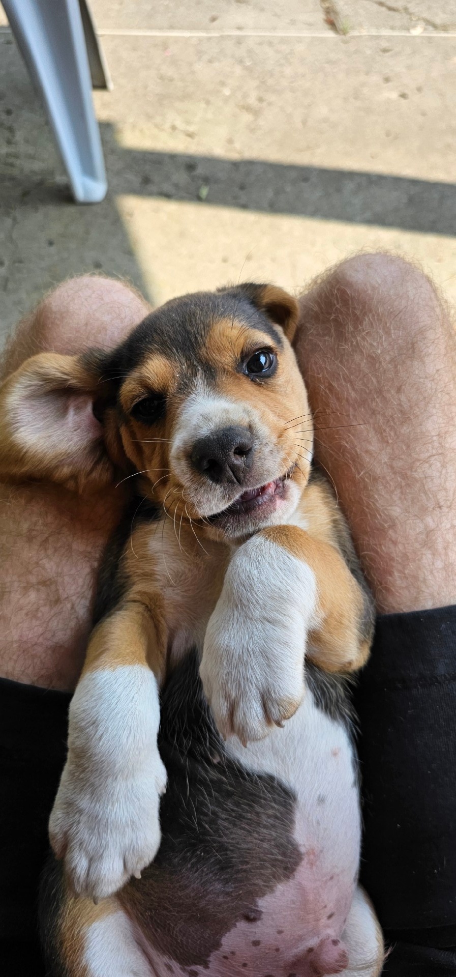 619a71ff-82bb-4125-aff5-6da935f39d3f