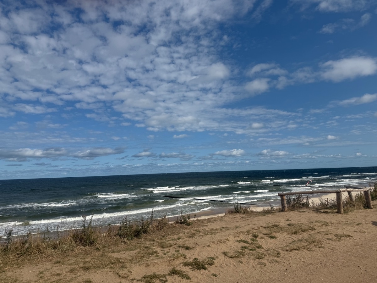 d8b3fc3d-250e-4f36-8d2c-806bb8a31fd4